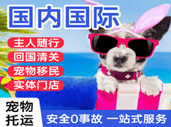 栎社航空运输国际宠物托运 【国